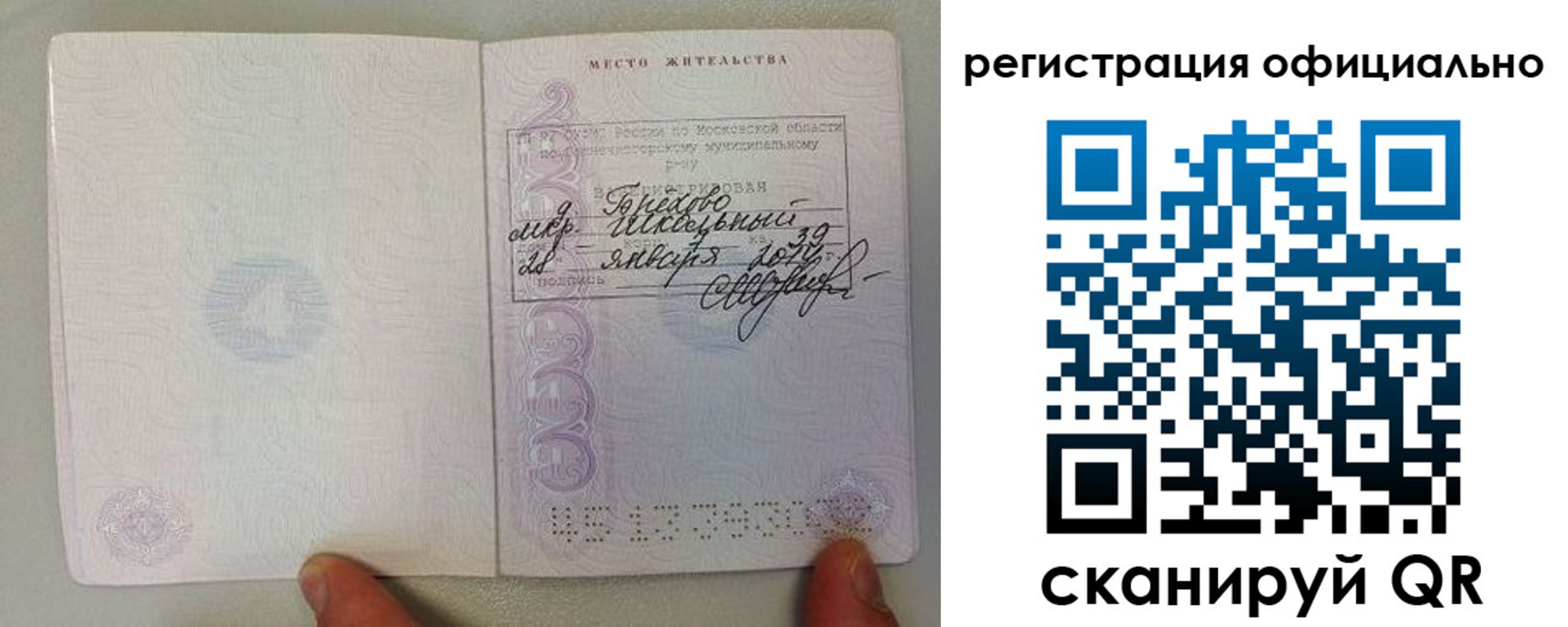прописка штамп в Соколе